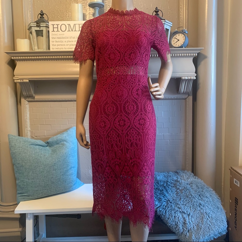 NWT Sexy Lace Cut Out Midi Sheath Dress